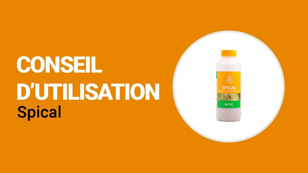 Comment utiliser Spical de Koppert