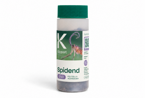 Spidend