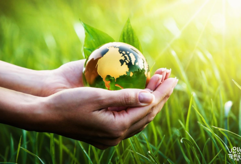 Journée de la Terre chez Koppert