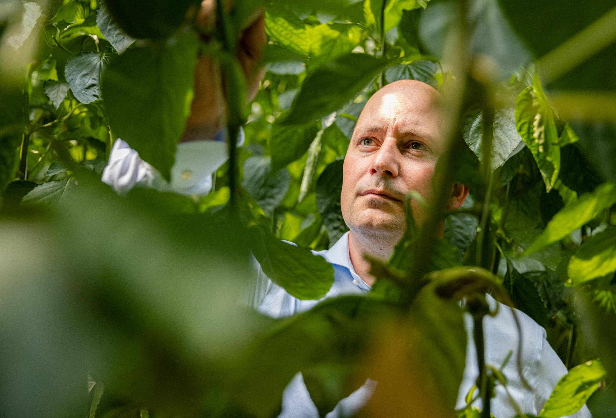 Une gamme impressionnante de solutions à base d'acariens prédateurs grâce à la recherche et à l'innovation continues