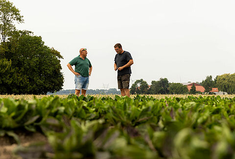 Vers un avenir sans produits chimiques dans l'agriculture : La vision du cultivateur Koen
