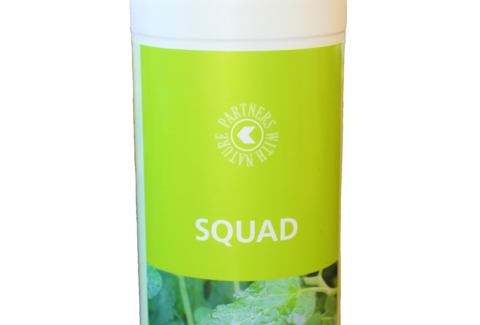 Adjuvant SQUAD : suspension temporaire de la mention AB et évolution du taux de TVA
