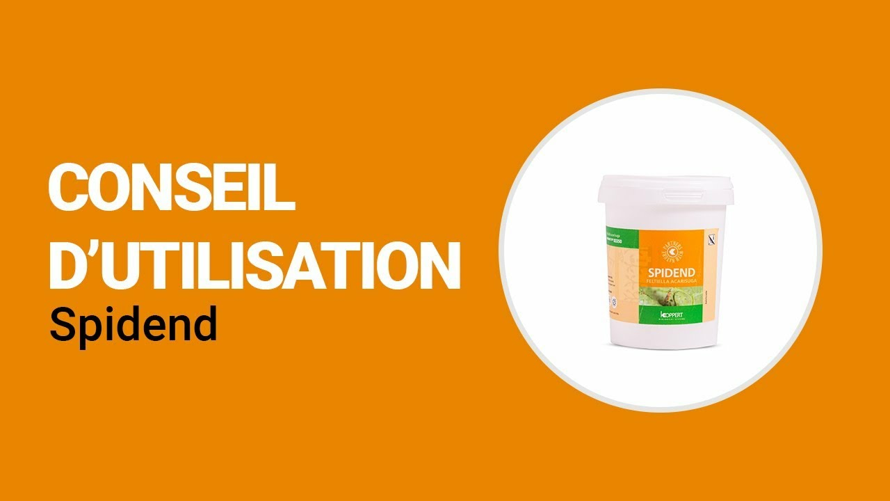 Comment utiliser Spidend de Koppert