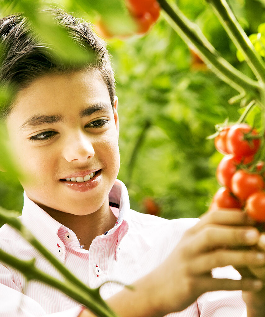 Mode à utiliser Pour