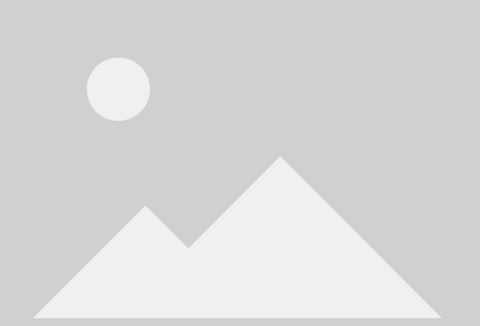 Petite mineuse du pêcher