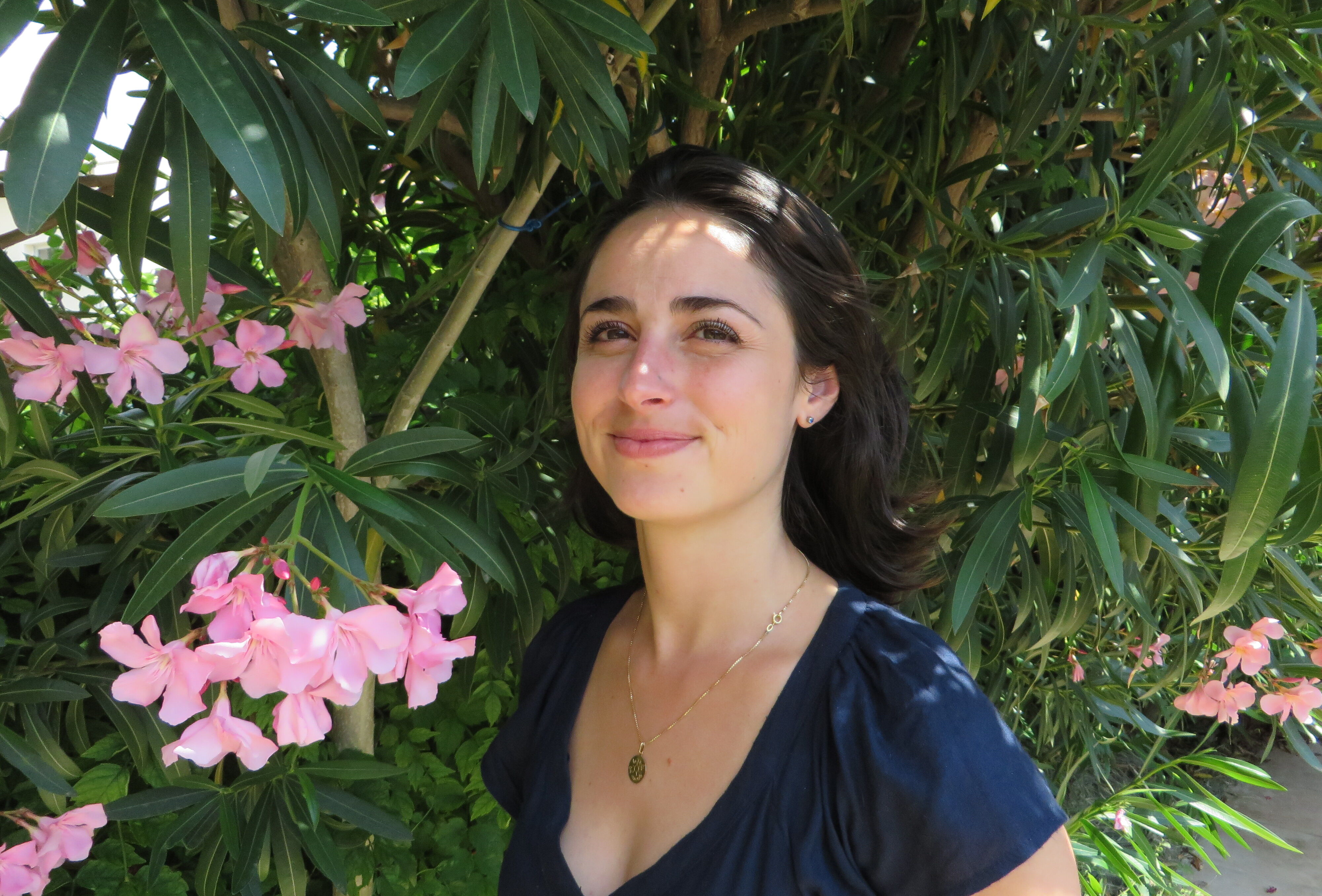 PBI en fraise : des ravageurs secondaires sous haute surveillance