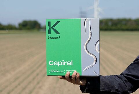 Nématodes bénéfiques pour la lutte contre la mouche des semis du haricot