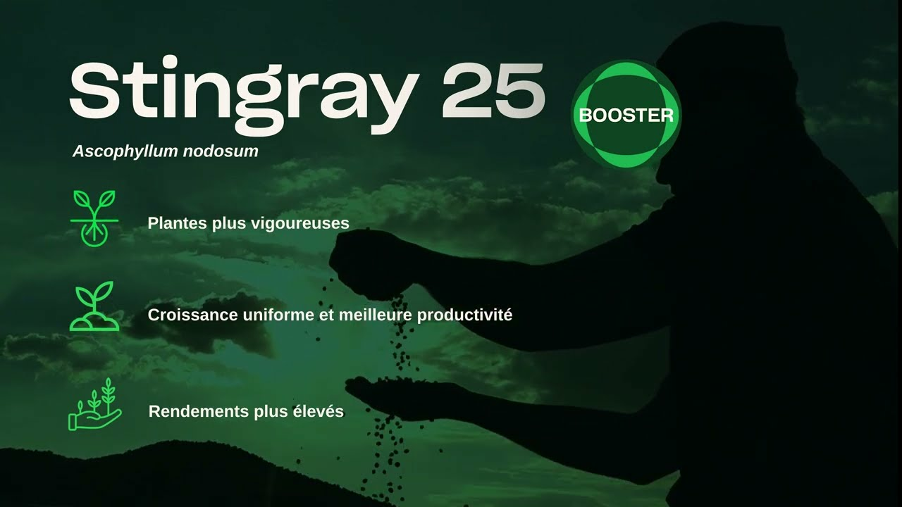 ???? AVEC STINGRAY 25, REPOUSSEZ LES LIMITES ! ????​