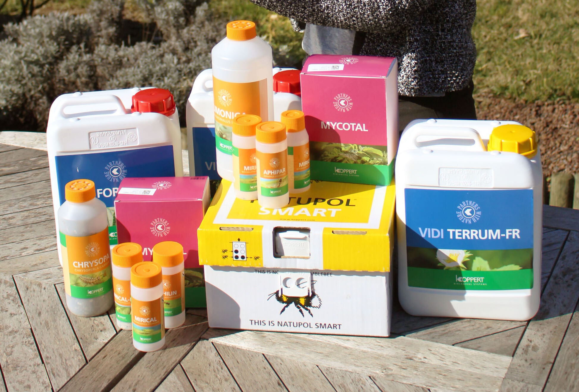 Projet valorisation des ruches : le pilote 2018