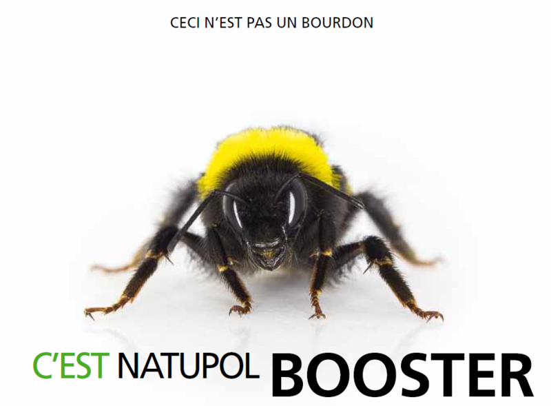 bourdon_Booster.PNG