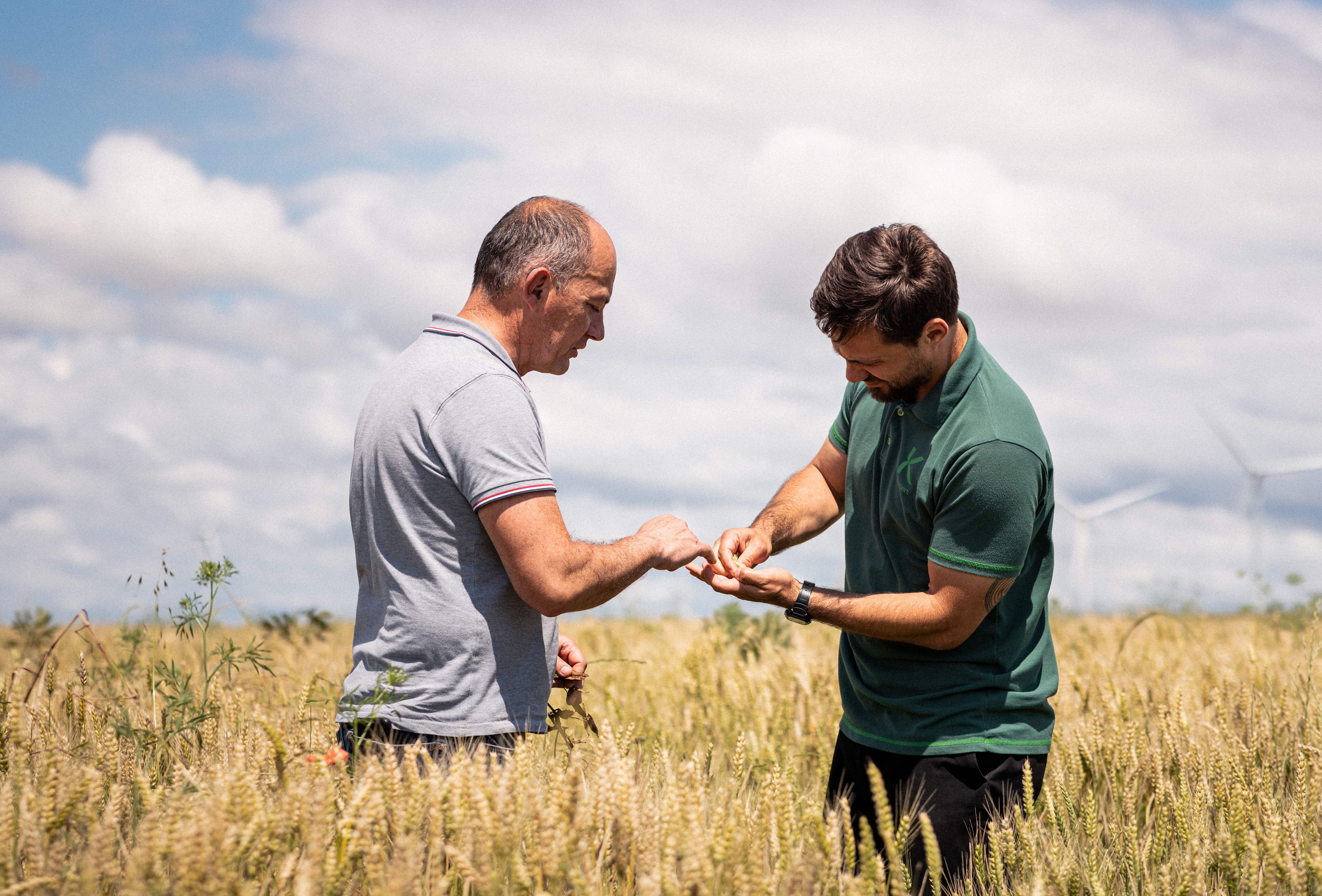Koppert France dévoile ses dernières nouveautés produits 2025 !