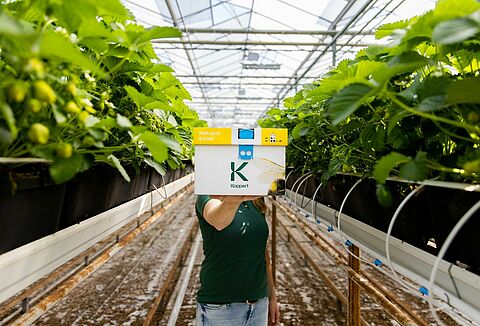 Meilleures pratiques