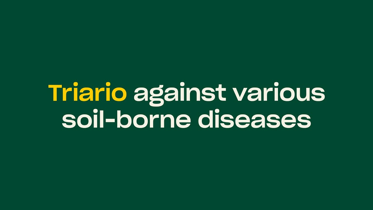 Triario against various soil-borne diseases