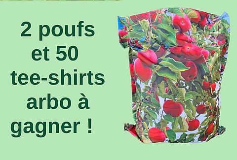 Grand Jeu concours Lovell