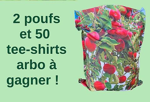 Grand Jeu concours Lovell