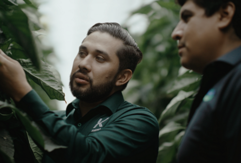 La Hacienda Fresh augmente la rentabilité des cultures grâce au contrôle biologique