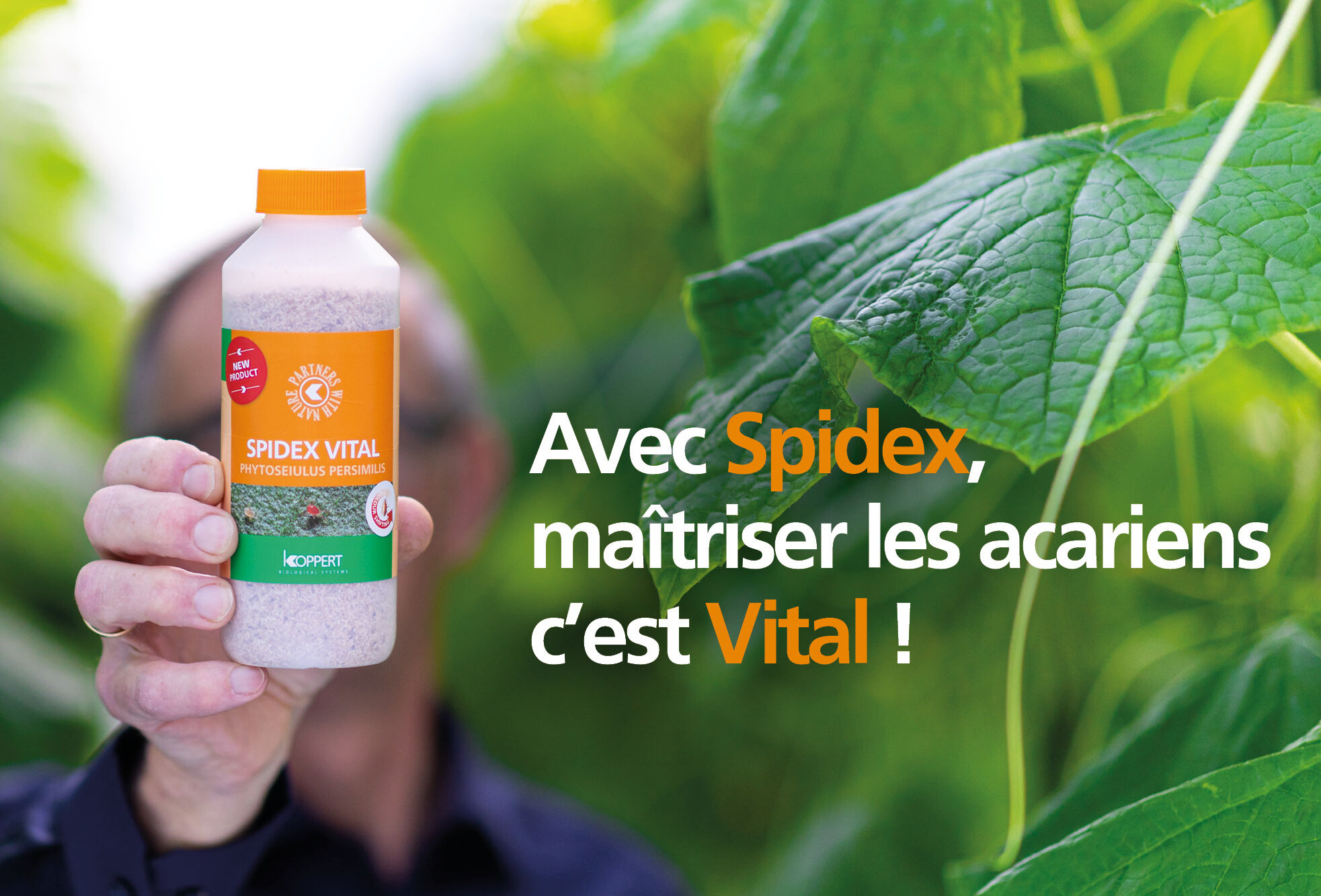 Avec Spidex, maîtriser les acariens c’est Vital !