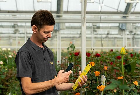 Moins d'utilisation de pesticides chimiques grâce au Dépistage Natutec