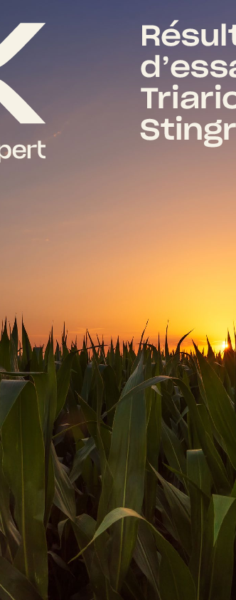 Résultats d’essais Triario WG + Stingray 25