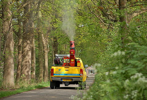 Spécialiste des arbres Wolterinck : Lutte contre la chenille processionnaire du chêne avec Entonem