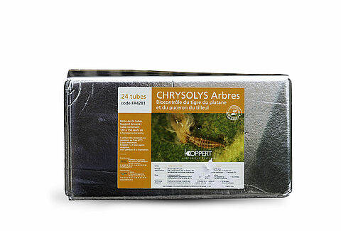 Chrysolys arbres