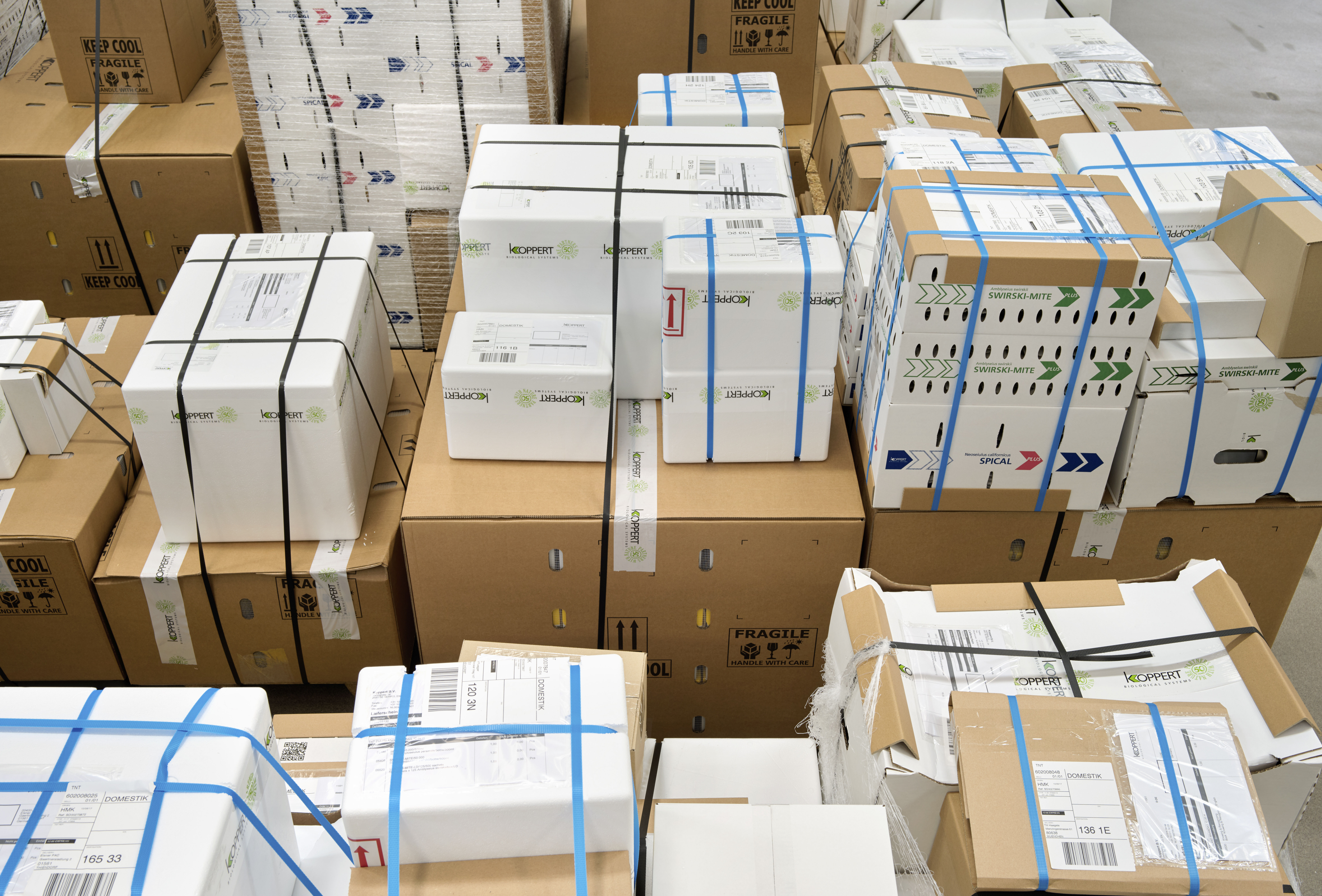 Continuité de l'ensemble des activités de Koppert France