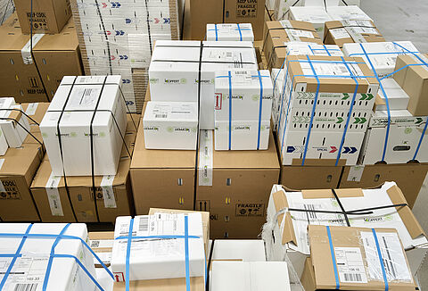 Continuité de l'ensemble des activités de Koppert France