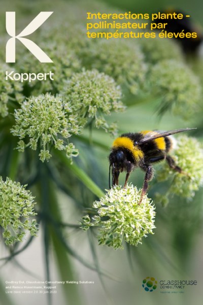 Interactions plante-pollinisateur par températures élevées