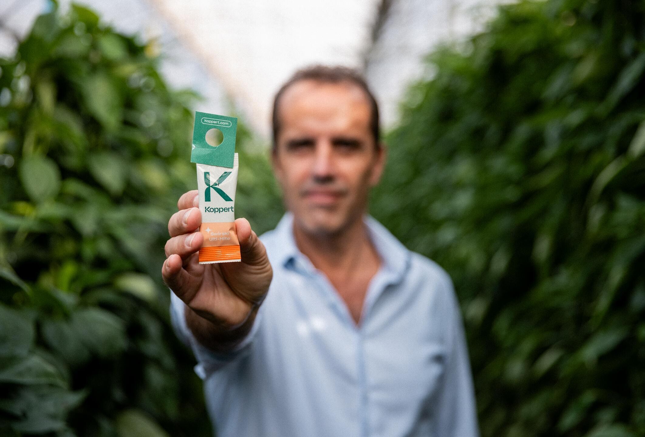 Un tournant à Almeria (Espagne) : Comment les acariens prédateurs ont contribué à transformer l'agriculture ?