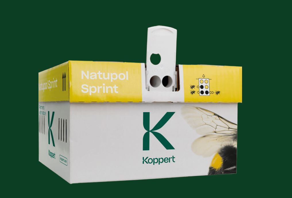 Natupol Sprint, la pollinisation à la vitesse maximale