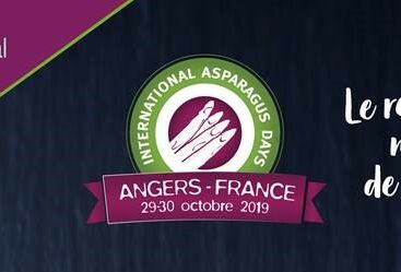 Koppert participe aux Asparagus days, les 29 et 30 octobre à Angers
