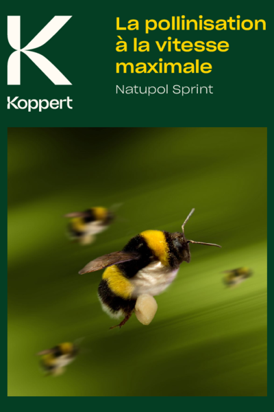 Brochure Natupol Sprint