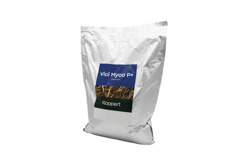 Vici Myco P+