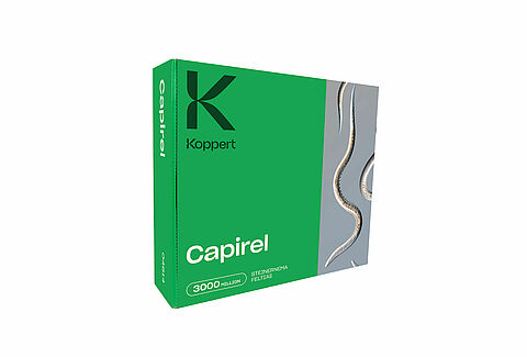 Capirel, la puissance des nématodes au service d'une protection durable en plein champ