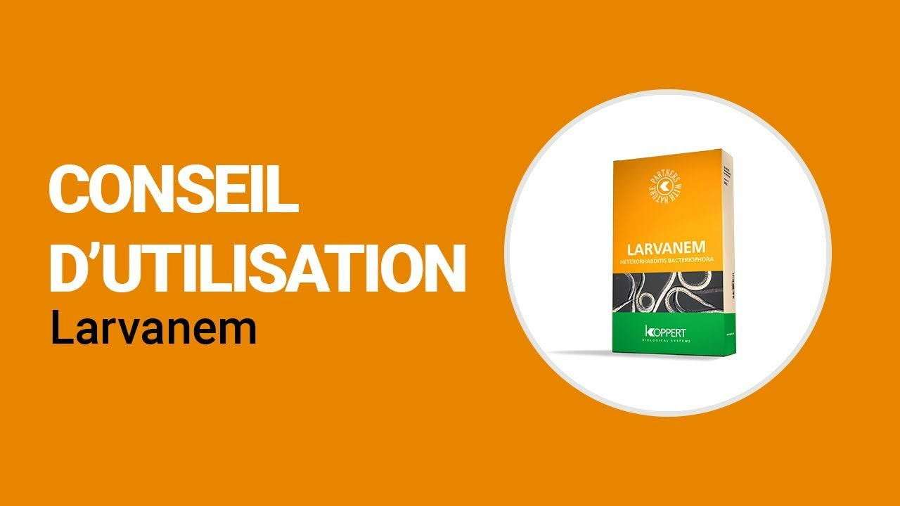 Comment utiliser Larvanem de Koppert