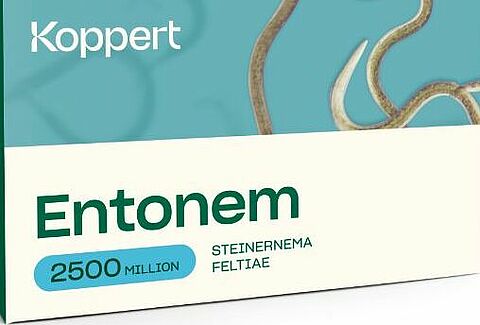Entonem, une solution de biocontrôle innovante contre la processionnaire du pin