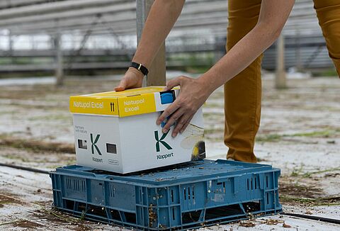 Placement optimal des ruches de bourdons