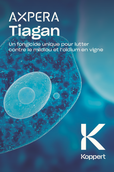 Tiagan Brochure