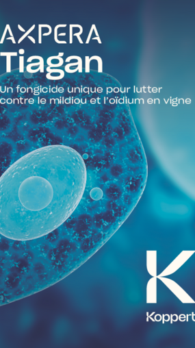 Tiagan Brochure