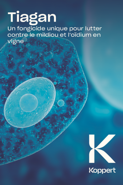 Tiagan Brochure