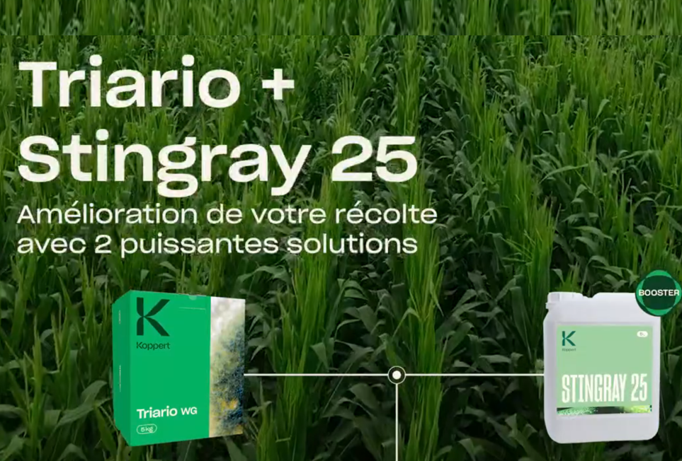 Avec Triario et Stingray 25, repoussez les limites des Grandes Cultures !