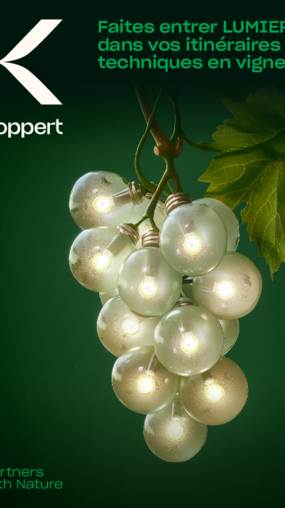 Essais sur le terrain de Lumiere