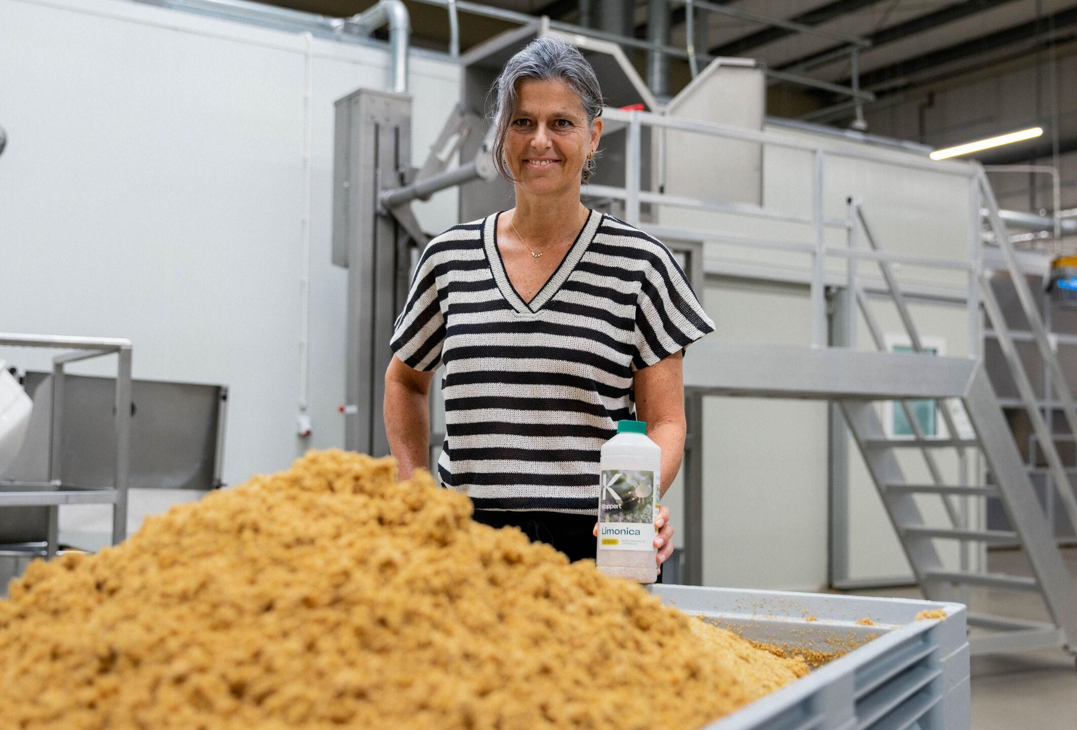 Limonica : percée dans la production à grande échelle d'un Acarien Prédateur complexe