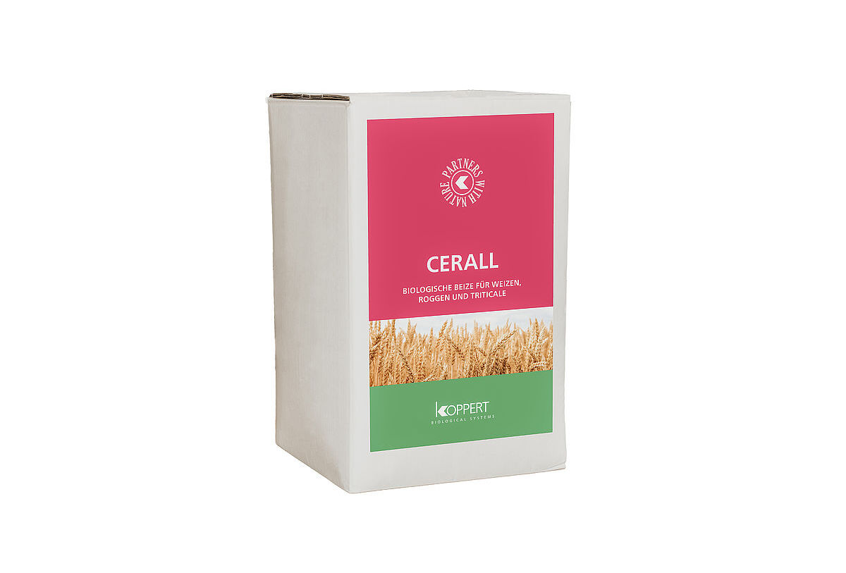 CERALL, protection des semences de blé, triticale, seigle contre Carie, Fusarioses et Septoriose