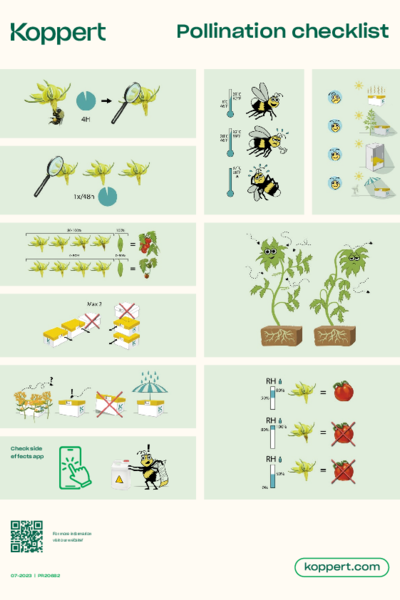 Check-list de pollinisation Tomate
