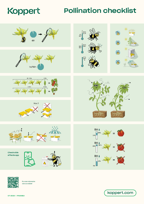 Check-list de pollinisation Tomate