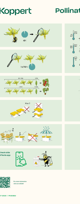 Check-list de pollinisation Tomate