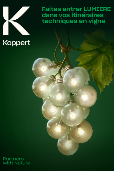 Essais sur le terrain de Lumiere