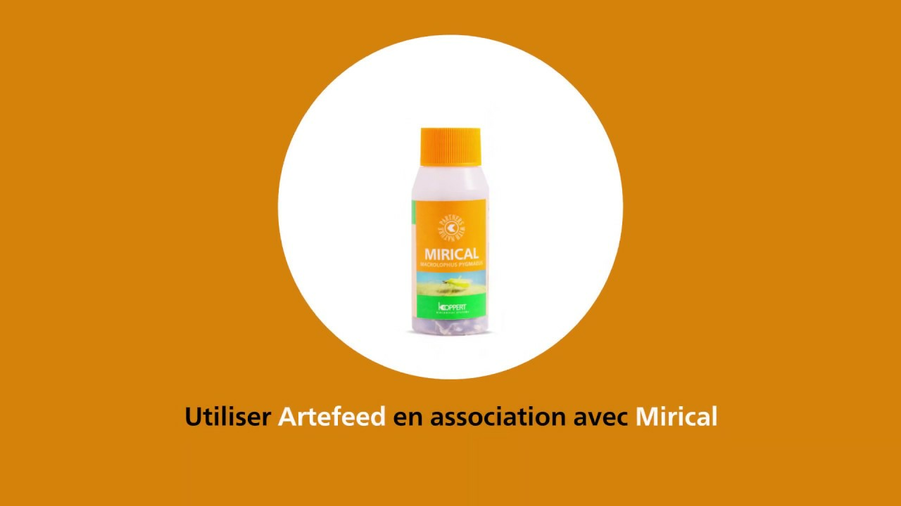 Comment utiliser Artefeed de Koppert