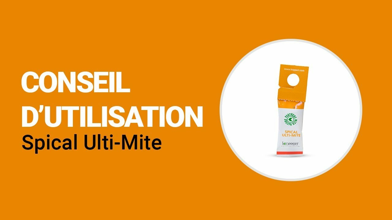 Comment utiliser Spical Ulti-Mite de Koppert